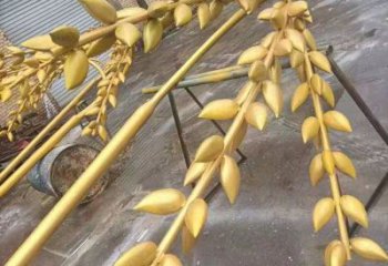 水景水稻雕塑廠家 風(fēng)景區(qū)幾何雕塑廠家 廣場(chǎng)小品