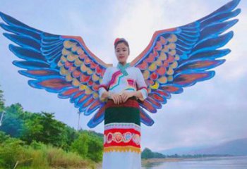 羽翼雕塑精品，白鋼構(gòu)件，不銹鋼羽翼雕塑供求